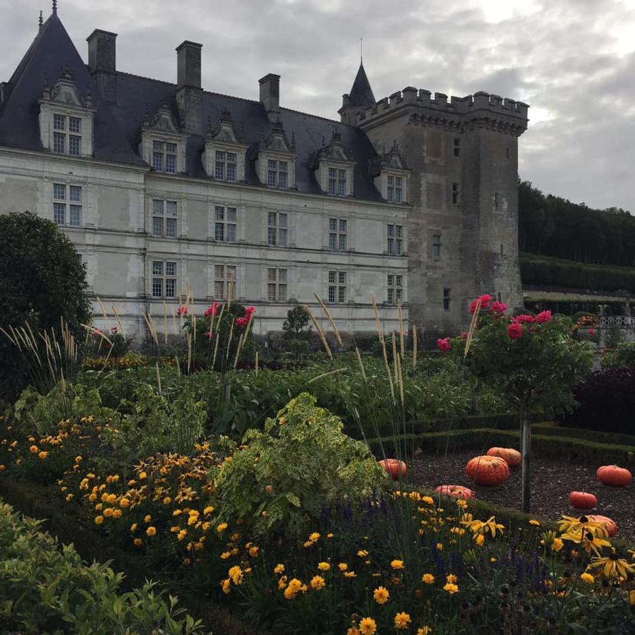 L Ecrin, Duplex Classe 2 Etoiles, Au Coeur De Villandry Exterior photo